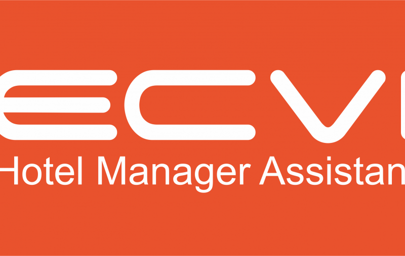 Ecvi Manager Assistant работает